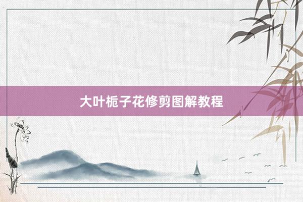 大叶栀子花修剪图解教程