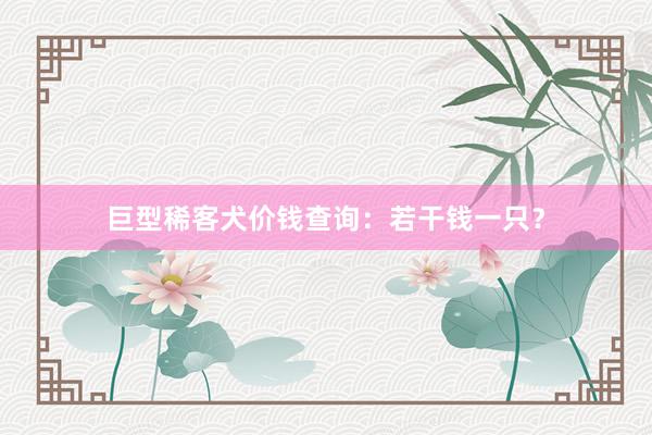 巨型稀客犬价钱查询：若干钱一只？